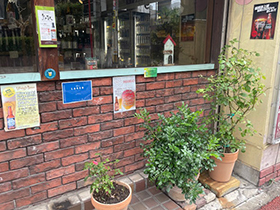 赤霧島